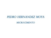 Pedro Hernandez Moya