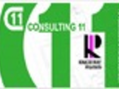 Consulting 11