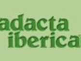 Adacta Iberica