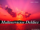 Logo Multiservicios Del Diez